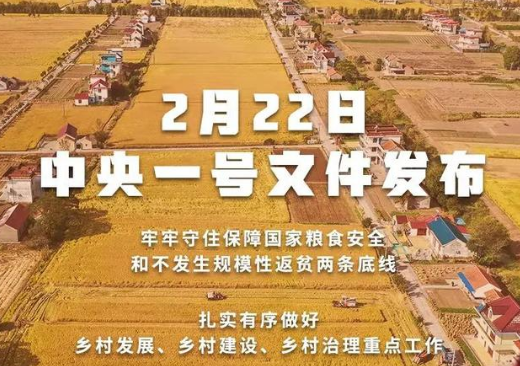 重磅！2022年中(zhōng)央一(yī)号文件發布